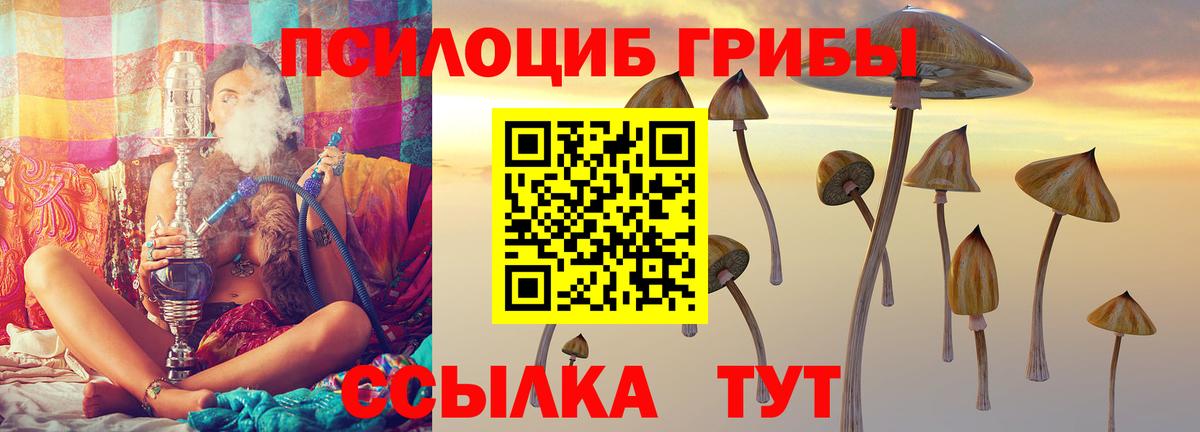 Псилоцибиновые грибы GOLDEN TEACHER Красноармейск
